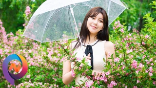 Hoa Nở Về Đêm ♫ Những Ca Khúc Trữ Tình Hay Nhất