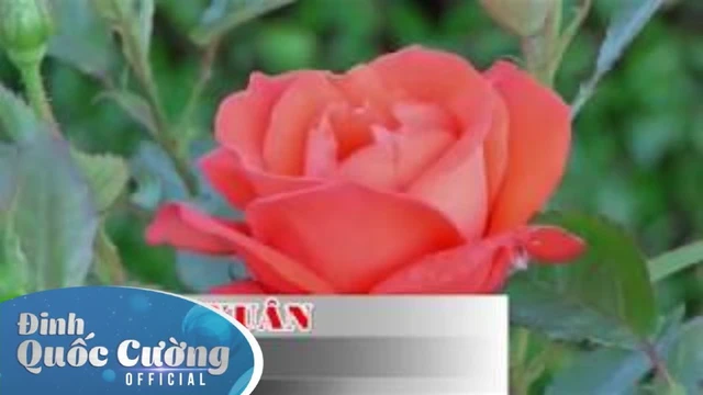 Karaoke Đoản Ca Xuân _ Đinh Quốc Cường