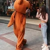 Gấu Lầy TV