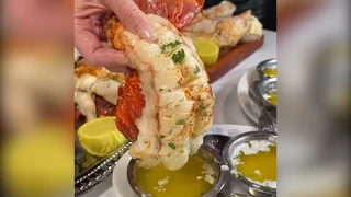 Tối nay ăn gì | P1