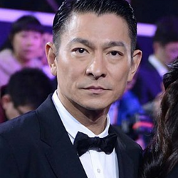 Lưu Đức Hoa 