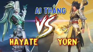 Hayate Đối Đầu Best Yorn
