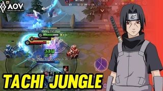 Tachi Đi Rừng Sức Mạnh Khủng Khiếp