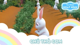 Chú thỏ con
