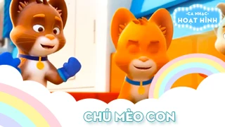 Chú mèo con