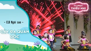 Cây đa quán dốc