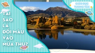 Tại sao lá đổi màu vào mùa thu?