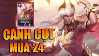 Zata Cánh Cụt Cân Tất Mùa Mới