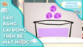 Vì sao băng lại đóng trên bề mặt nước
