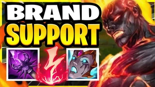 Brand Support Team Bạn Xin Hàng
