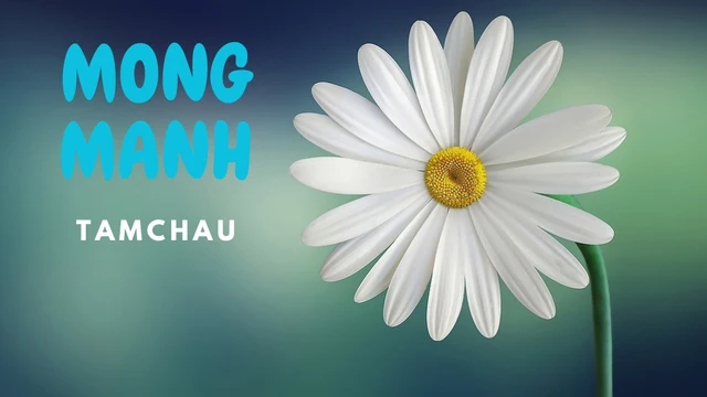 Mong Manh| MV OFFICIAL