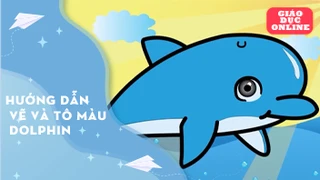 Hướng dẫn vẽ và tô màu Dolphin