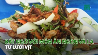 Bất ngờ với món ăn ngon và lạ từ lưỡi Vịt