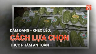 Lựa chọn Rau an toàn cho gia đình