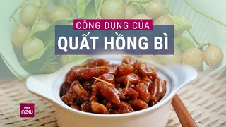 Quả nhỏ bé, công dụng lớn lao: Bí mật sức khỏe từ quất hồng bì 