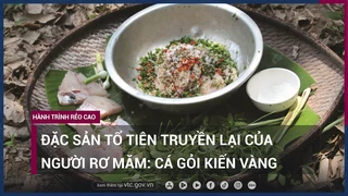 Đặc sản tổ tiên truyền lại của người Rơ Măm: Cá gỏi kiến vàng