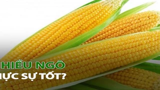 Ăn nhiều Ngô có thực sự tốt?