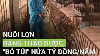 Nuôi lợn bằng thảo dược, "bỏ túi" nửa tỷ đồng/năm - Phần 2