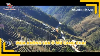 Mùa không lúa ở Mù Cang Chải