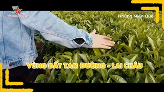 Vùng đất Tam Đường - Lai Châu