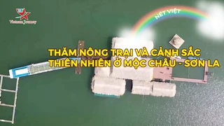 Thăm nông trại và cảnh sắc thiên nhiên ở Mộc Châu - Sơn La