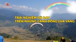 Trải nghiệm dù bay trên những cánh đồng lúa vàng