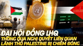 Đại hội đồng LHQ thông qua nghị quyết liên quan lãnh thổ Palestine bị chiếm đóng | VOVTV