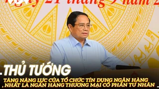 Thủ tướng: Tăng năng lực của tổ chức tín dụng ngân hàng, nhất là ngân hàng tư nhân