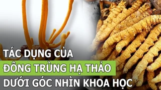 Những tác dụng của đông trùng hạ thảo dưới góc nhìn khoa học - Phần 3