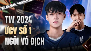 Team Whales 2024 ¦ Cá Voi Xanh Và Phần Còn Lại Của Vcs?