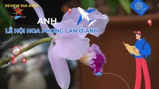 Lễ hội hoa phong lan ở Anh