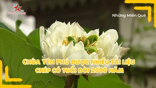 Chùa Yên Phú được nhiều tài liệu chép có tuổi đời 2000 năm