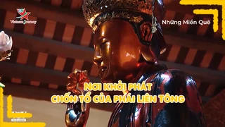 Nơi khởi phát, chốn tổ của phái Liên Tông