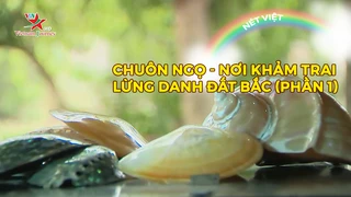 Chuôn Ngọ - Nơi khảm trai lừng danh đất Bắc (phần 1)