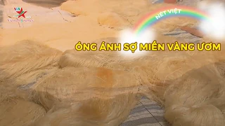 Óng ánh sợi miến vàng ươm