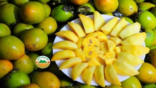 Mua hồng giòn ăn sao cho lành