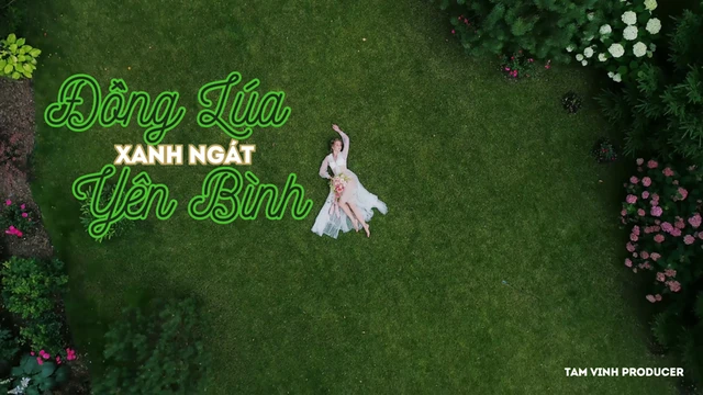 Đồng Lúa Xanh Ngát Yên Bình