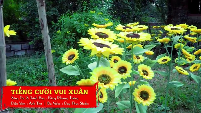Tiếng Cười Vui Xuân - Đông Phương Tường