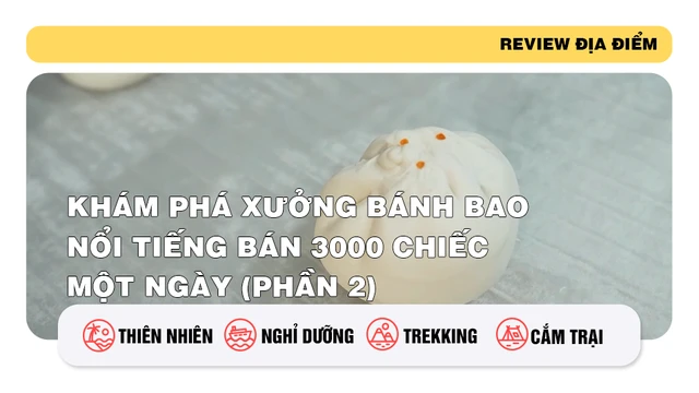 Khám phá xưởng bánh bao nổi tiếng bán 3000 chiếc một ngày (phần 2)