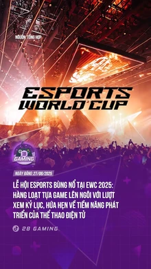 Đúng là world cup làng game, độ chất là nhất