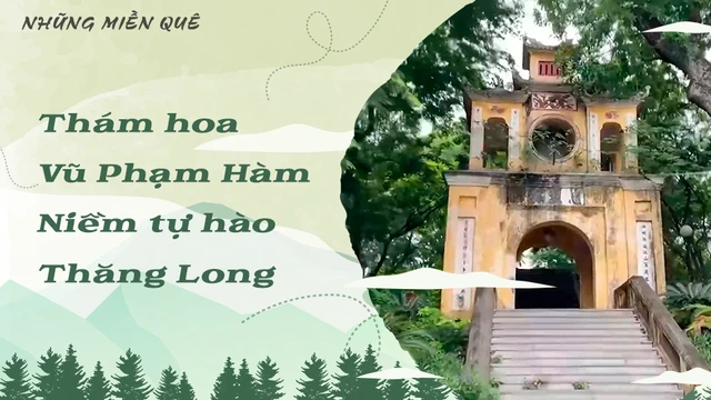 Thám hoa Vũ Phạm Hàm - Niềm tự hào Thăng Long