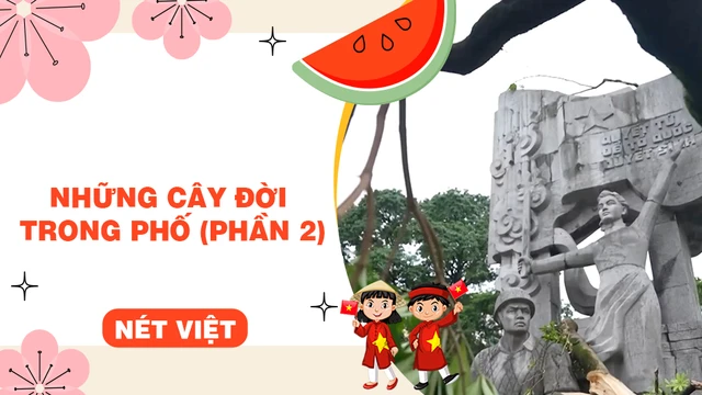 Những cây đời trong phố (phần 2)