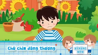 Chú chim đáng thương