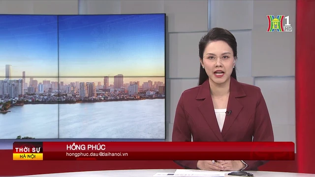 Chương trình Thời sự 11h30 | 15/10/2025