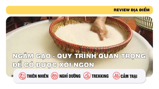 Ngâm gạo - Quy trình quan trọng để có được xôi ngon