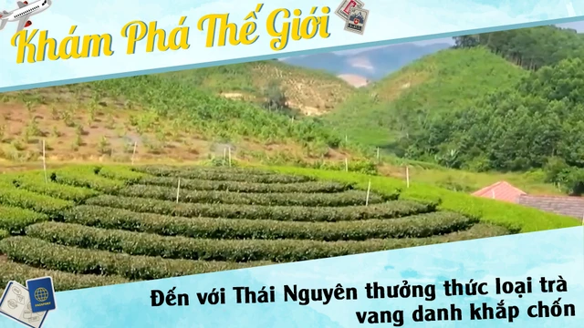 Đến với Thái Nguyên thưởng thức loại trà vang danh khắp chốn