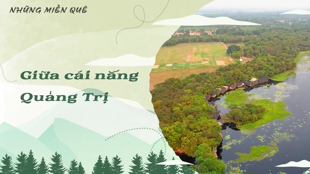 Giữa cái nắng Quảng Trị