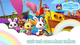 Chú thỏ con lông trắng