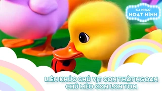 Liên khúc Chú vịt con thật ngoan và Chú mèo con lon ton