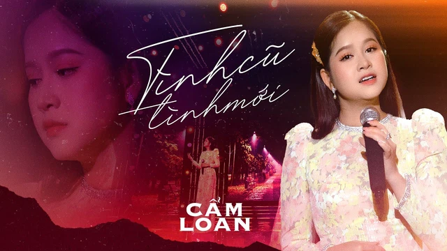 Tình Cũ Tình Mới - Cẩm Loan 
